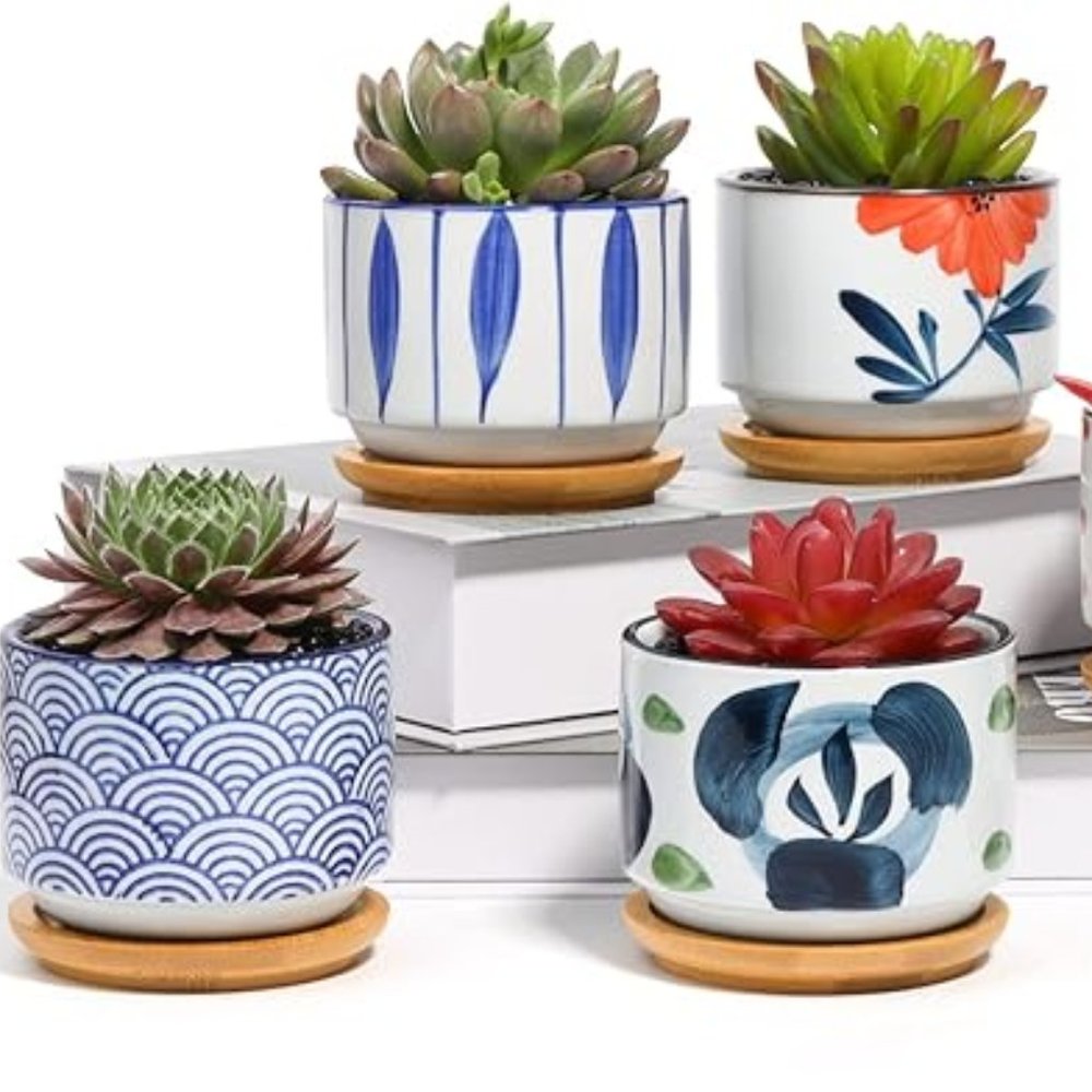 Succulent Planter Pots with Bamboo Tray Set of 6, 3 Inch Ceramic Planter